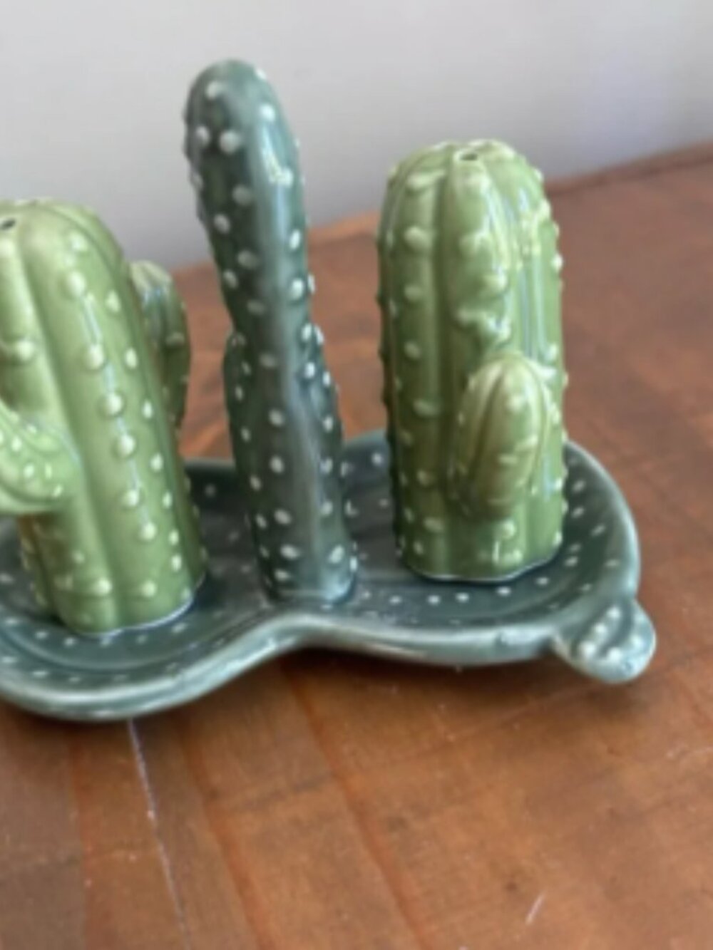 Cactus Salt & Pepper Shaker with Tray-Ceramic-Green-Southwestern/Desert-3 Pieces